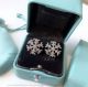 AAA Fake Tiffany Diamond Snowflake Earrings Price - 925 Silver (6)_th.jpg